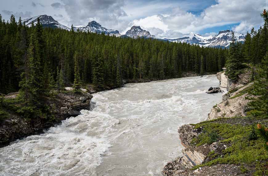 Our final view of the frothing North Saskatchewan River on the hike out