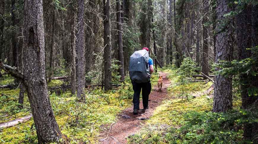 Pleasant walking to Glacier Lake in Banff