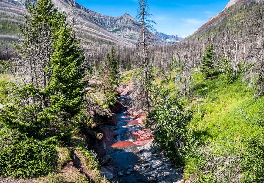 One of the top hikes in Waterton is the short and easy Red Rock Canyon loop