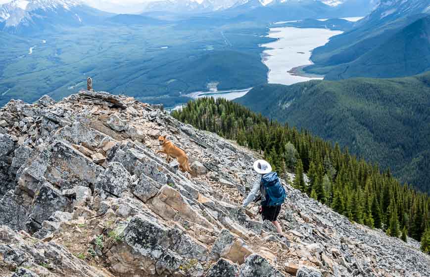 The scrambly section near the summit - but all quite easy - one of the rewarding Kananaskis Trail hikes