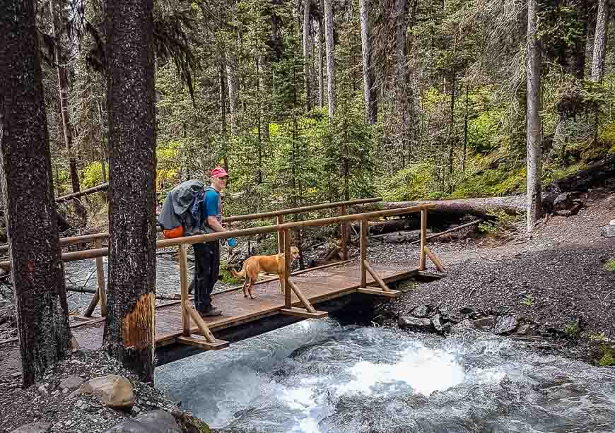 The first major creek crossing on the hike