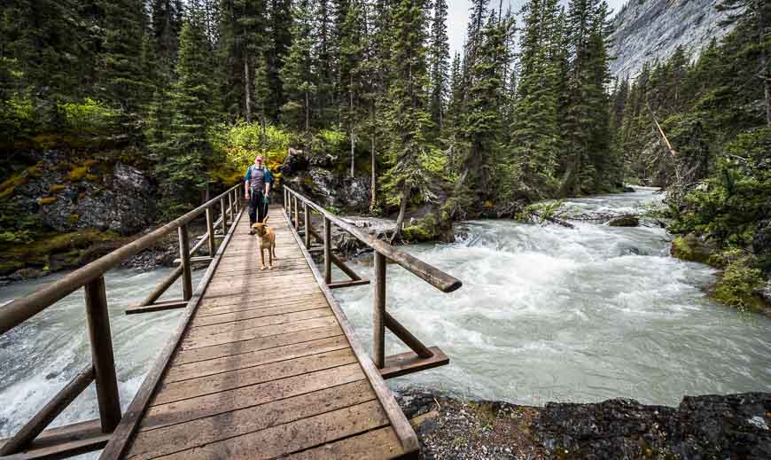 Crossing the Kananaskis River at 5.8 km