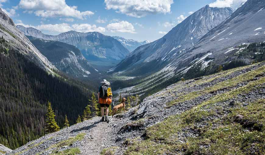 A sunnier view on the return hike