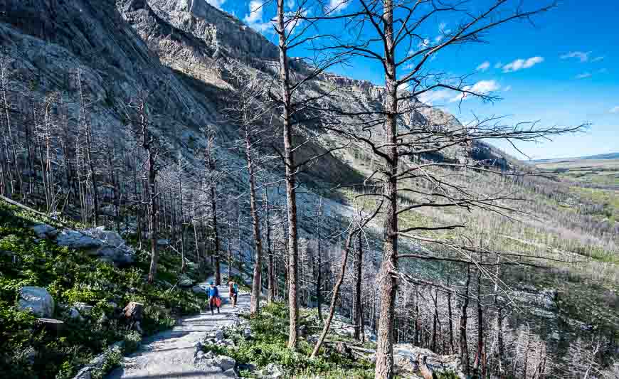 Very pretty hiking up the Bear's Hump