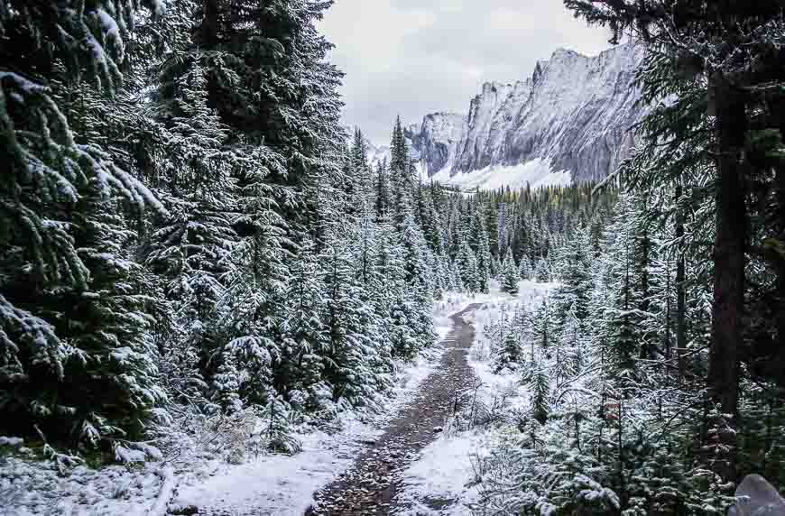 The trail between the trees and meadows is very beautiful with a dusting of snow