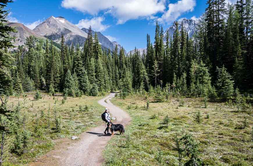 Some views on the Chester Lake hike as you start getting out of the trees