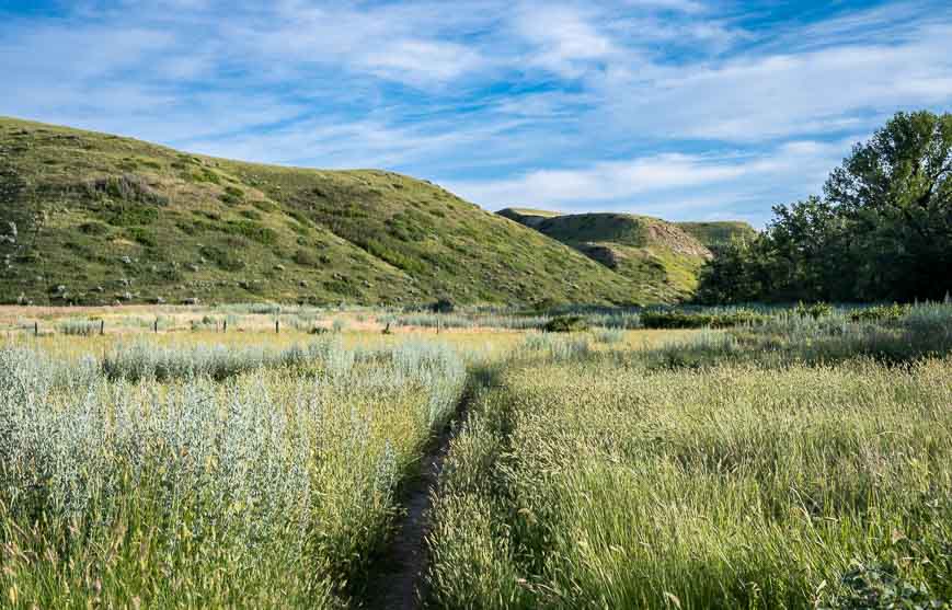 Walking the prairie trails