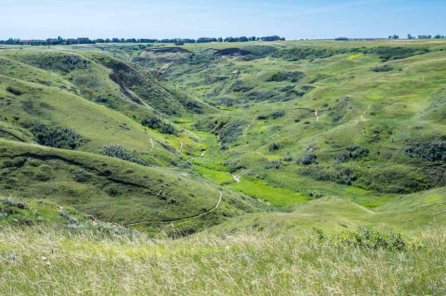 Looking across to the Six Mile Coulee Trails