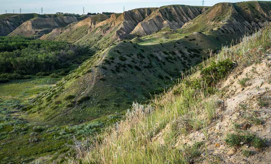 Explore the coulees in Pavan Park