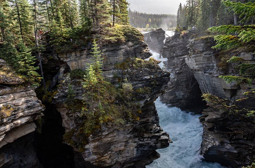 Athabasca Falls has so many looks depending what part of the trail