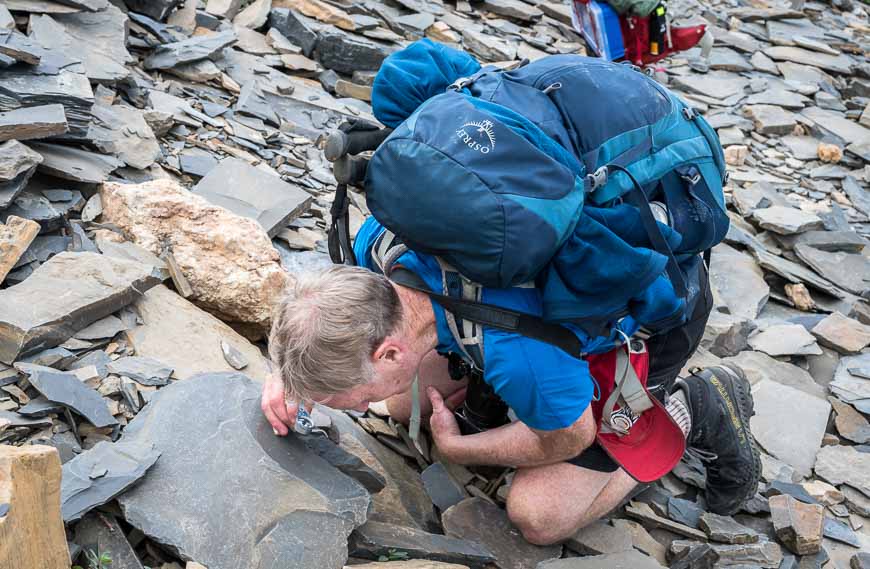 John looking for fossils at the Walcott Quarry