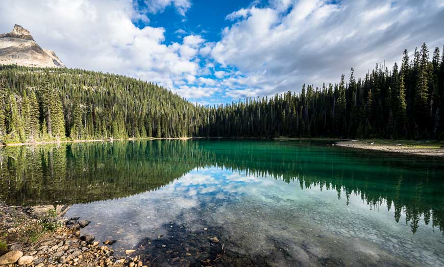 Beautiful Yoho Lake has a lovely campground