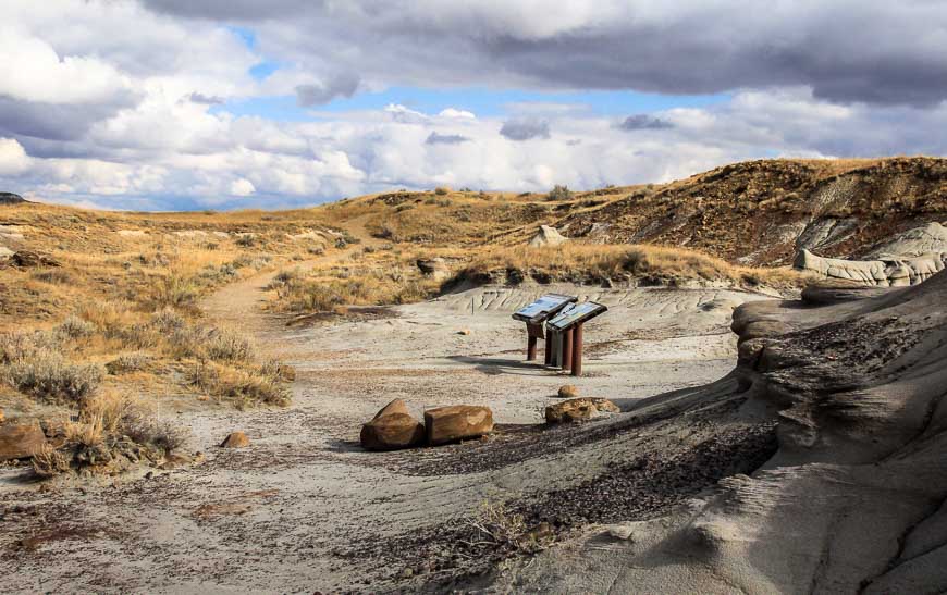 Many of the hiking trails in Dinosaur Provincial Park have interpretive signs
