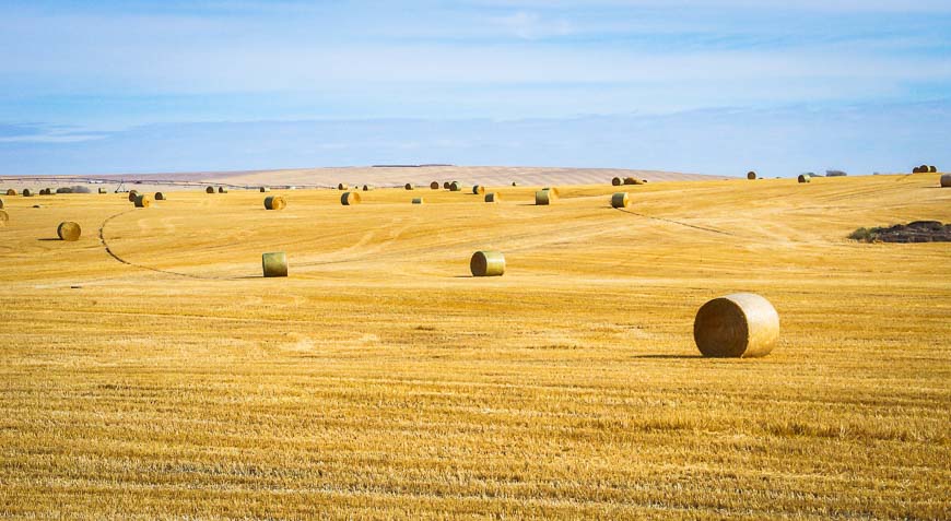 In fall you'll pass field after field full of hay bales