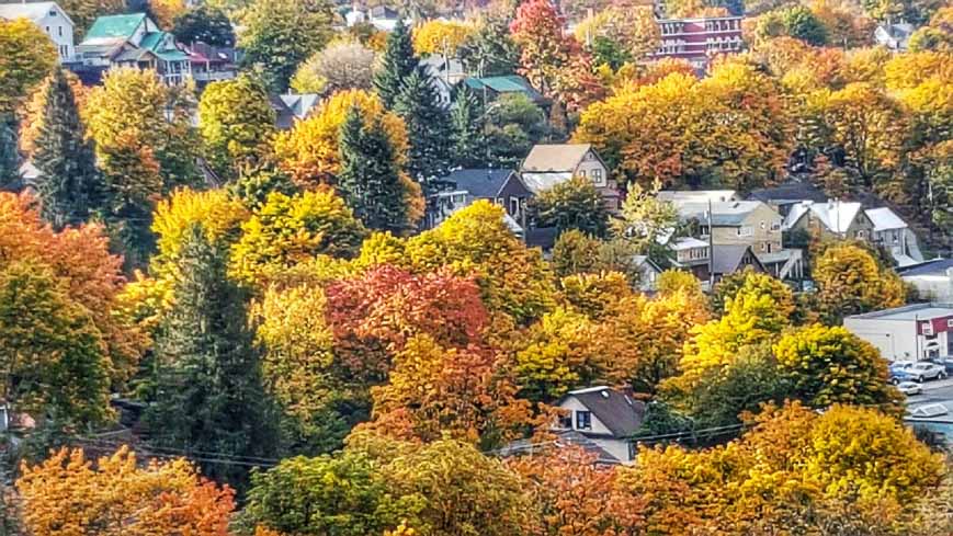 Fall colours in Nelson, BC