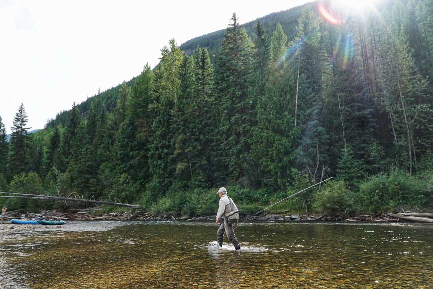 Fly fishing in Cranbrook 