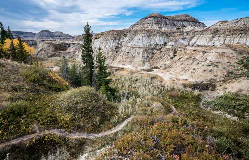 Lots of trails to explore in Horseshoe Canyon
