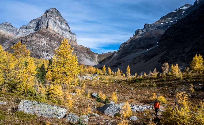 Spectacular views of Sentinel Pass