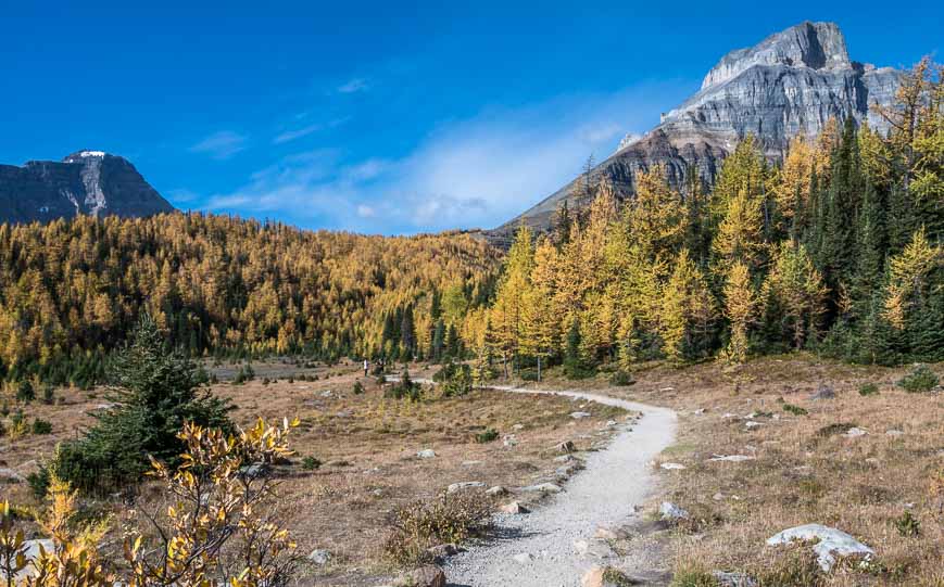 Expansive larch views as you hike higher