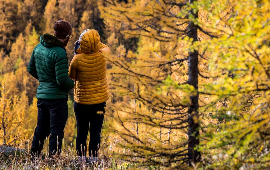 The larch valley hike