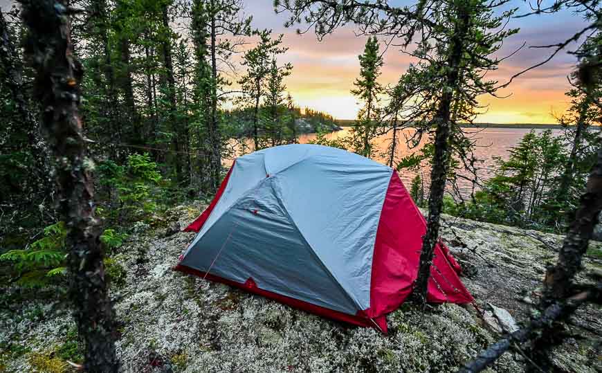 Pretty campsite on soft reindeer moss on Reindeer Lake