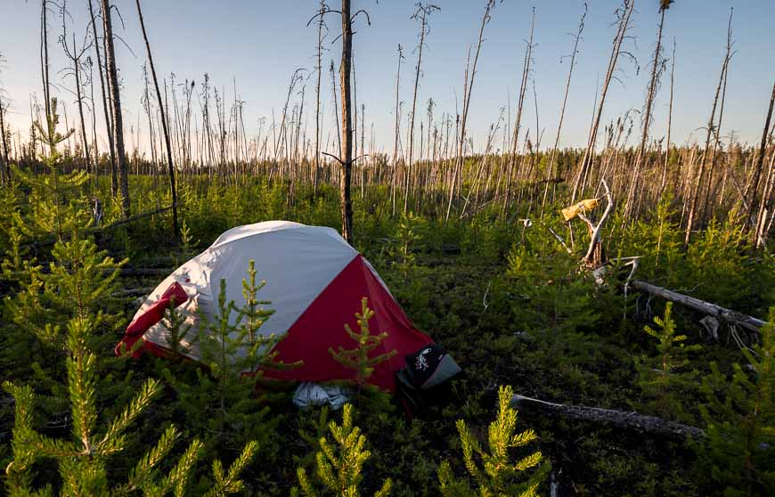 We set up our tent on the first flat spot we could find