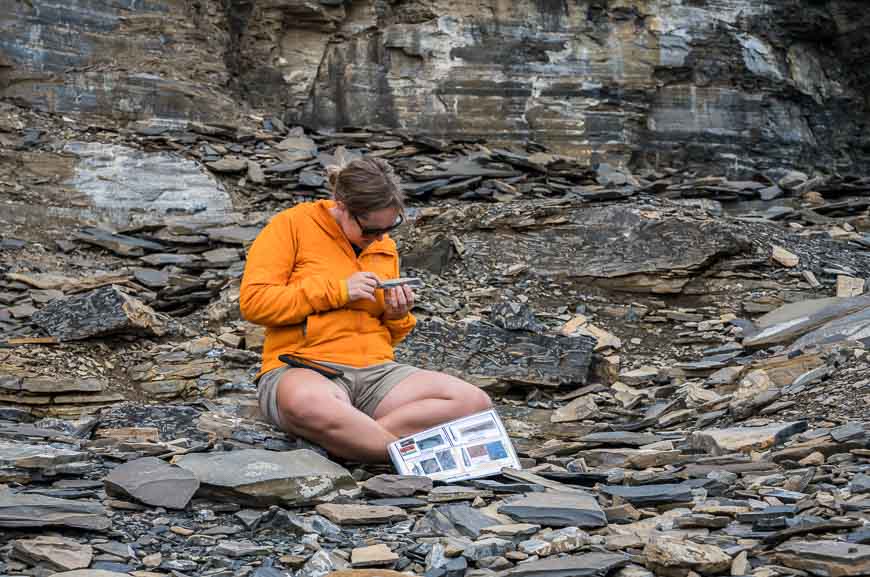 The Burgess Shale hike with Gemma trying to ID fossils