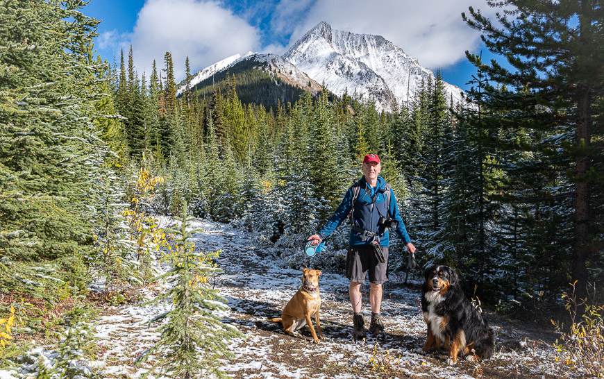 A perfect day in the mountains as far as the Bernese Mountain dog was concerned