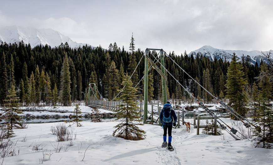 Dog lake trail outlet kootenay national park