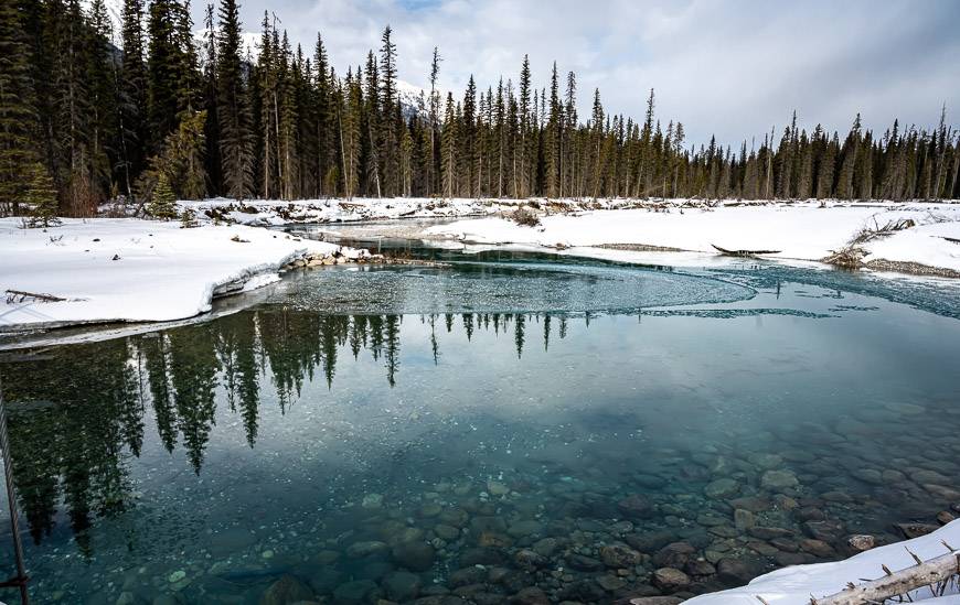 The Kootenay River is a gorgeous colour