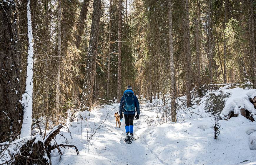 Dog lake trail kootenay hotsell national park