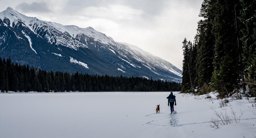 Easy snowshoeing along the shore of Dog Lake