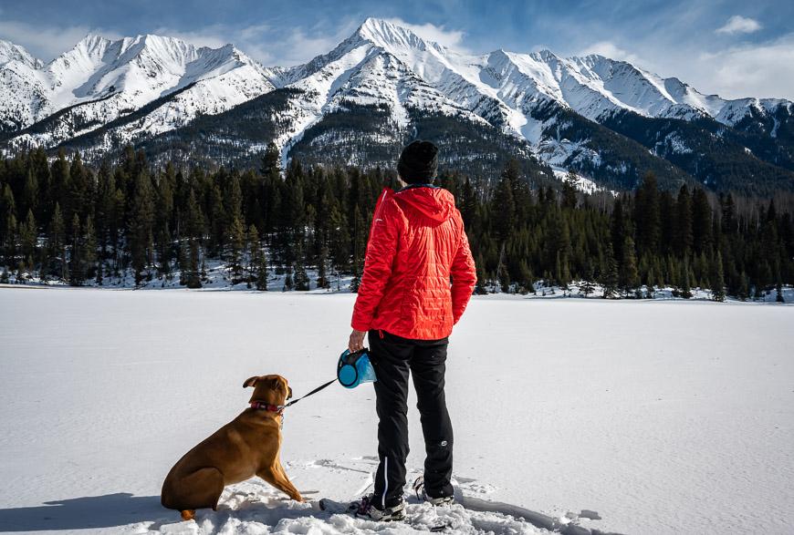 Looking out to the Mitchell Range in Kootenay National Park