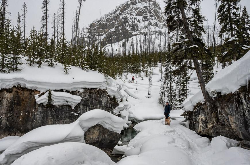 Kootenay National Park get a lot of snow in winter