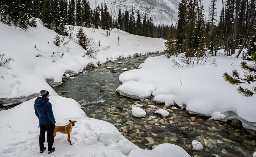 The start of the short hike into Marble Canyon