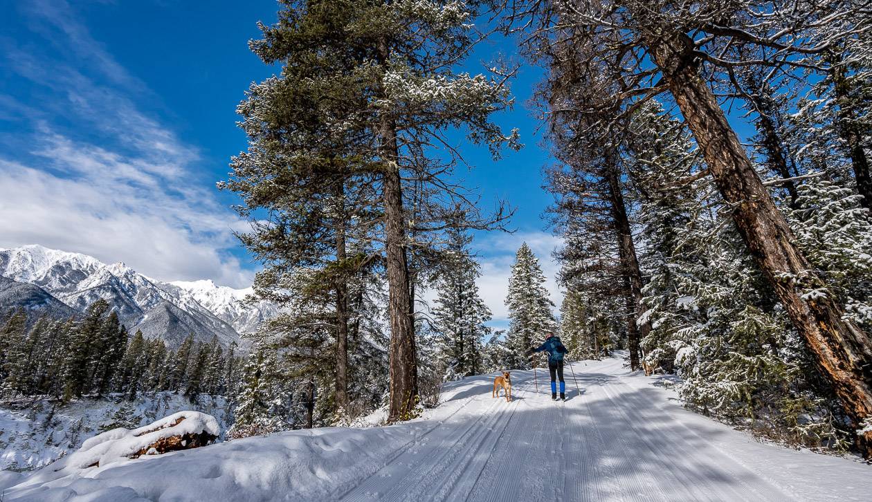 Cross-country skiing on the trails at Nipika Lodge