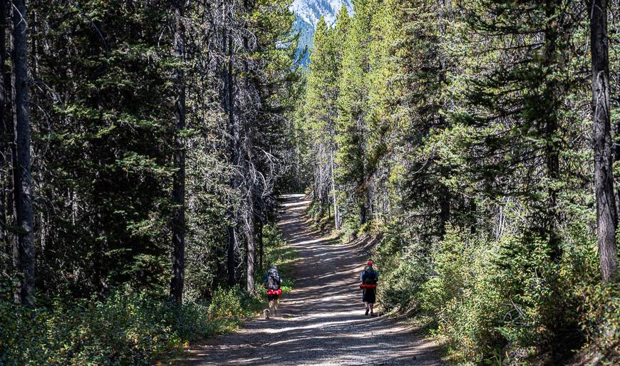 The final stretch of hiking back to the car in Peter Lougheed Provincial Park