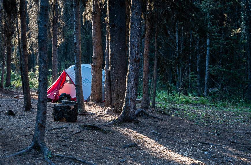 Our tent at Lower Elk Lake was on a soft bed of bark