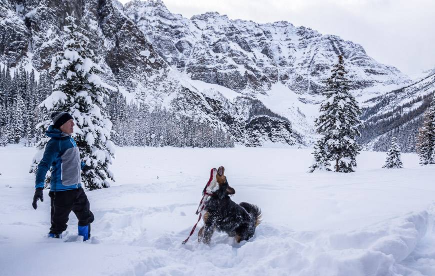 Snowshoeing in Banff: 15 Best Trails