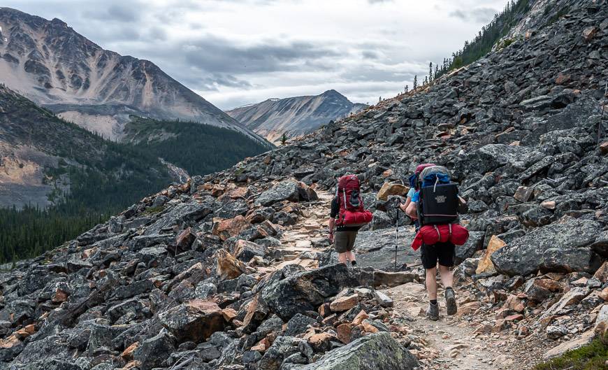 Breaking out of the trees on the Tonquin Valley hike