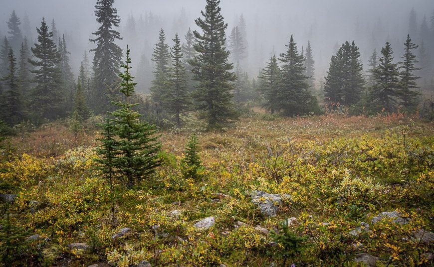 Moody landscape with smoke and haze on the Tonquin Valley hike