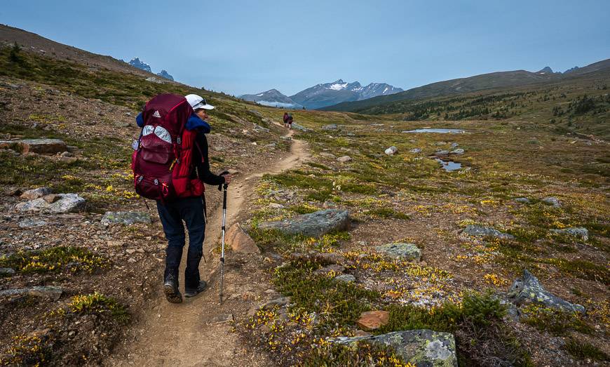 You'll need a 60L - 70L pack to carry all your gear on the Tonquin Valley hike