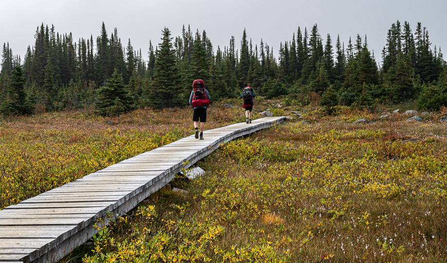 A section of boardwalk on the way to Amethyst Lake Campground