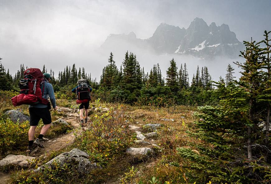 Lovely hiking on the Tonquin Valley trail on the way to the Amethyst Lakes Campground