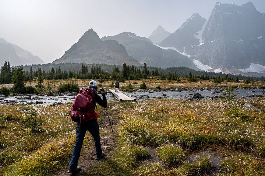 The Tonquin Valley trail on the way to Surprise Point Campground