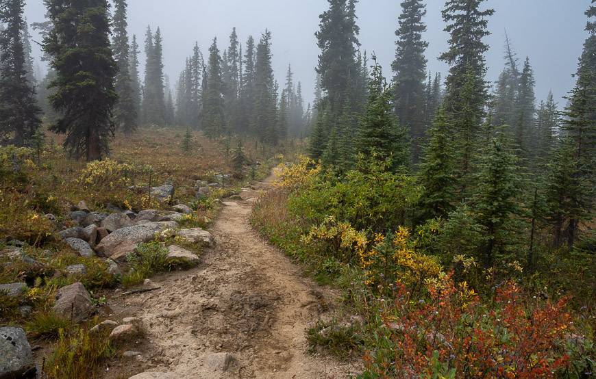 Fall is a great time to do the hike