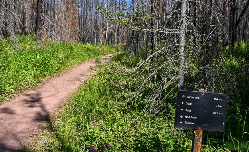 There isn't a soul on the trail when I start hiking