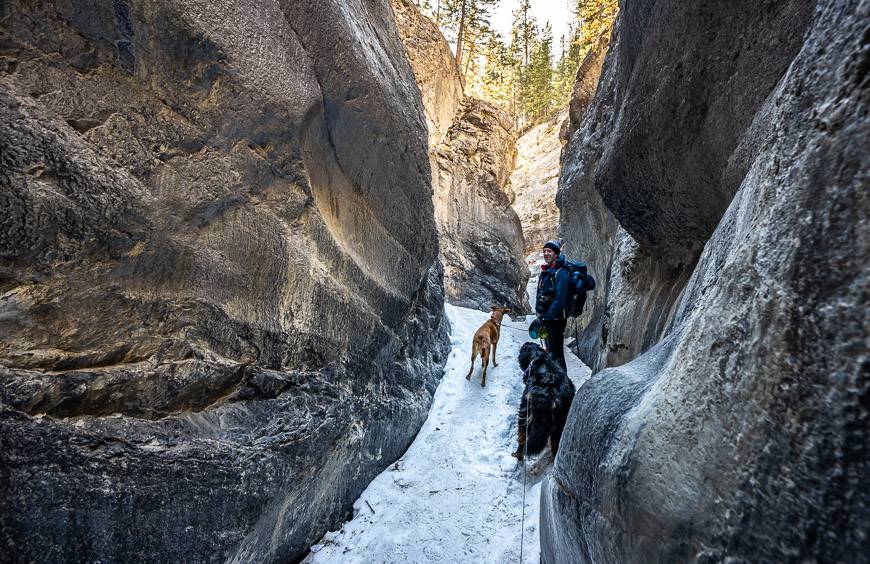 The Jura Creek hike near Canmore