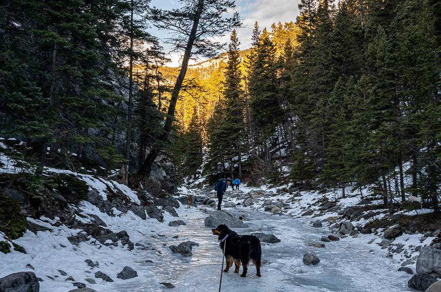 The mini ice walk via the Jura Creek trail