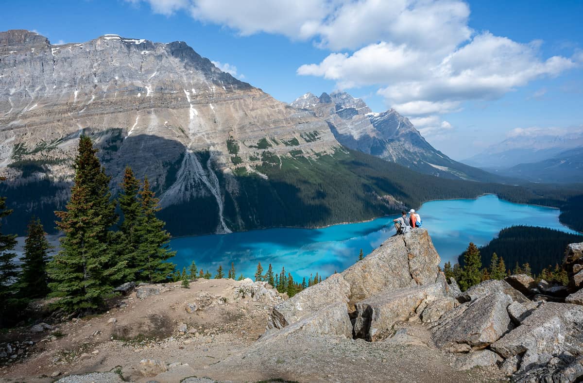 Stunning Peyto Lake - one of the top stops on the Icefields Parkway